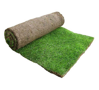 Turf