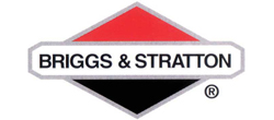 Briggs & Straton